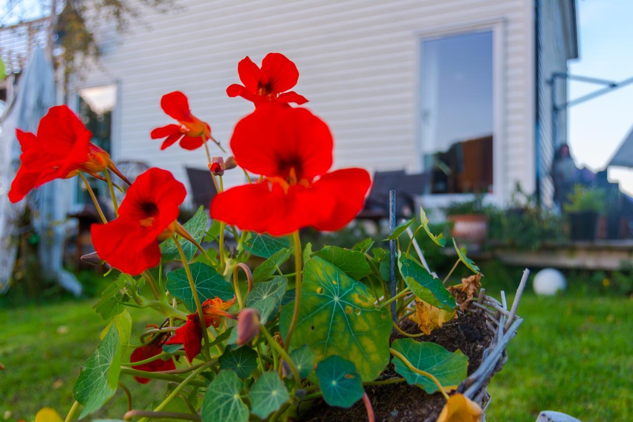 Strandheimen Guesthouse Melhus Dış mekan fotoğraf